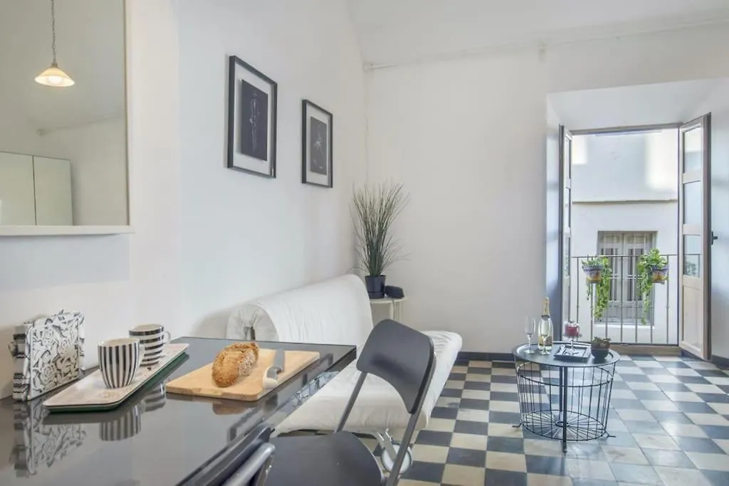 Hinestrosa Studio Center Apartment Malaga 0*,  Spain